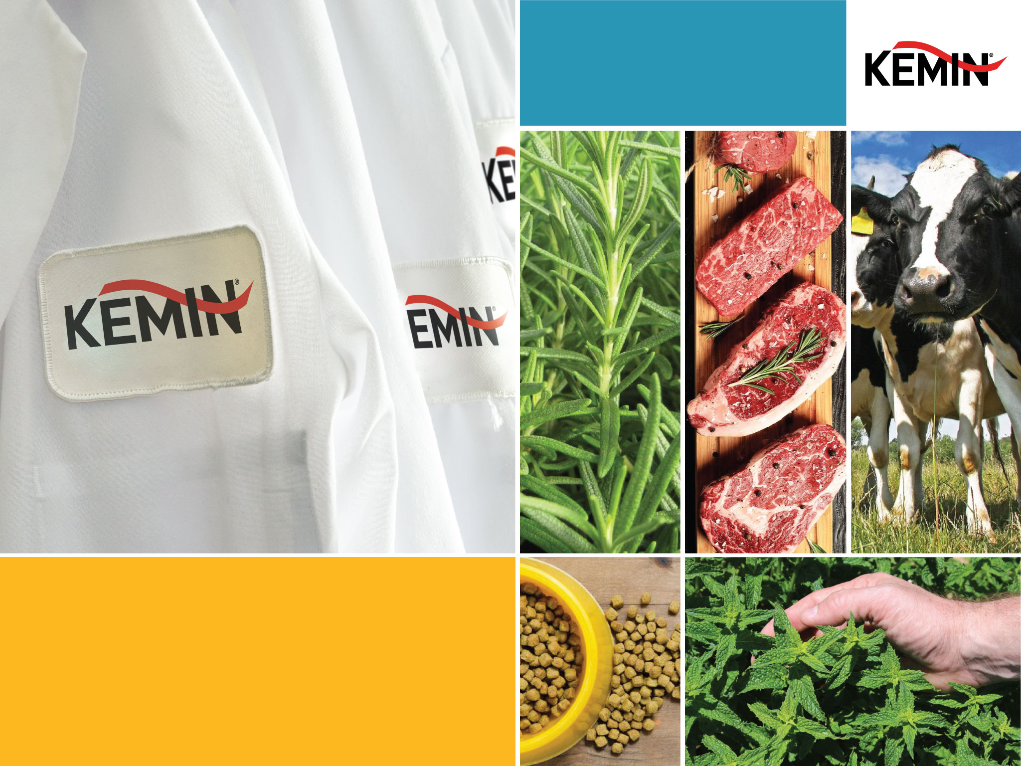 AEM Assets Brand Portal